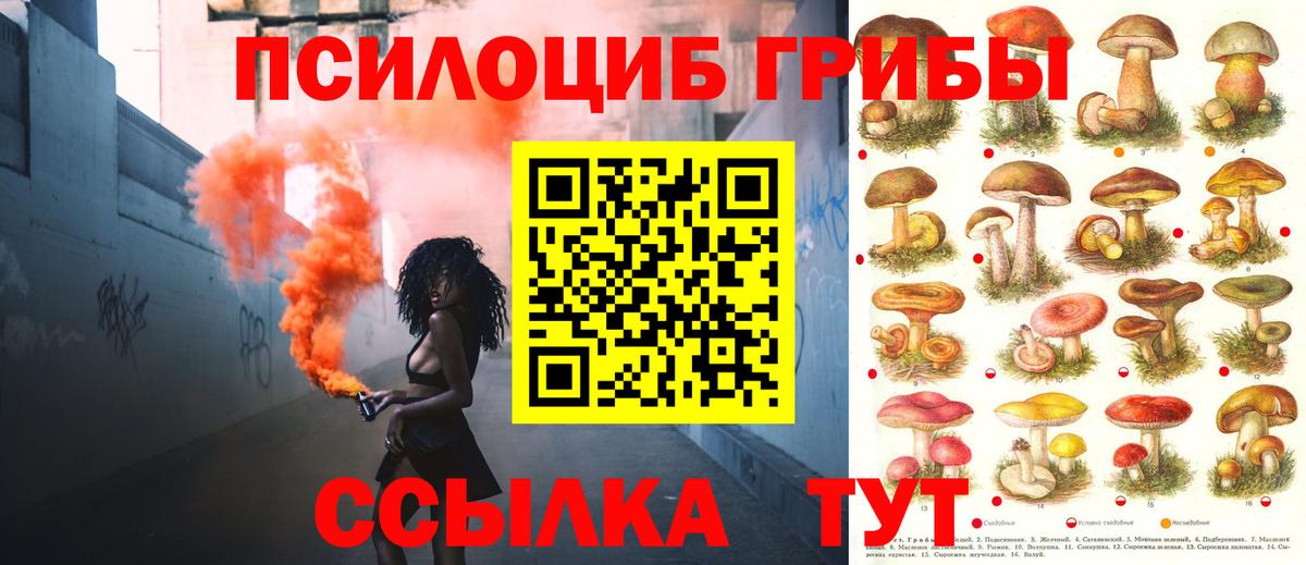 Галлюциногенные грибы мухоморы Усинск
